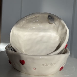 tempImageEiHPe8.jpg